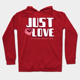Just Love It's the only important thing Hoodie